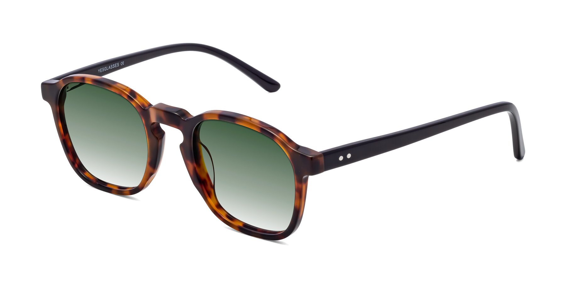 Angle of Generous in Tortoise with Green Gradient Lenses