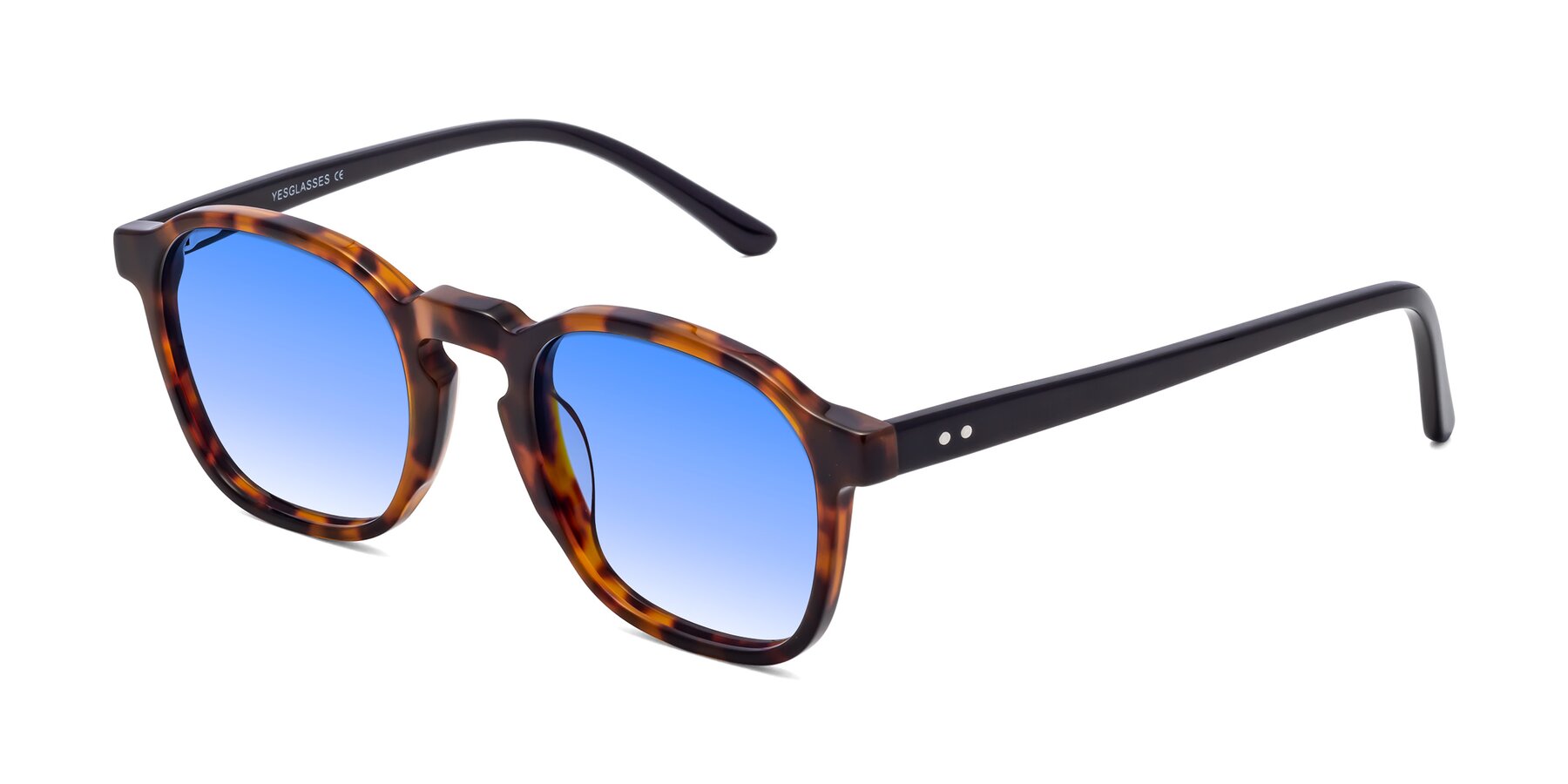 Angle of Generous in Tortoise with Blue Gradient Lenses