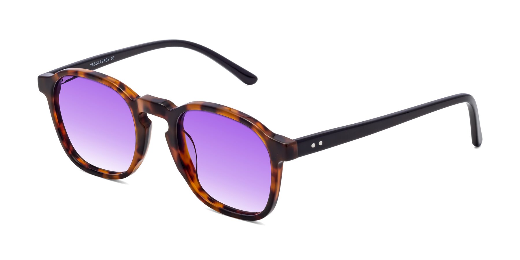Angle of Generous in Tortoise with Purple Gradient Lenses