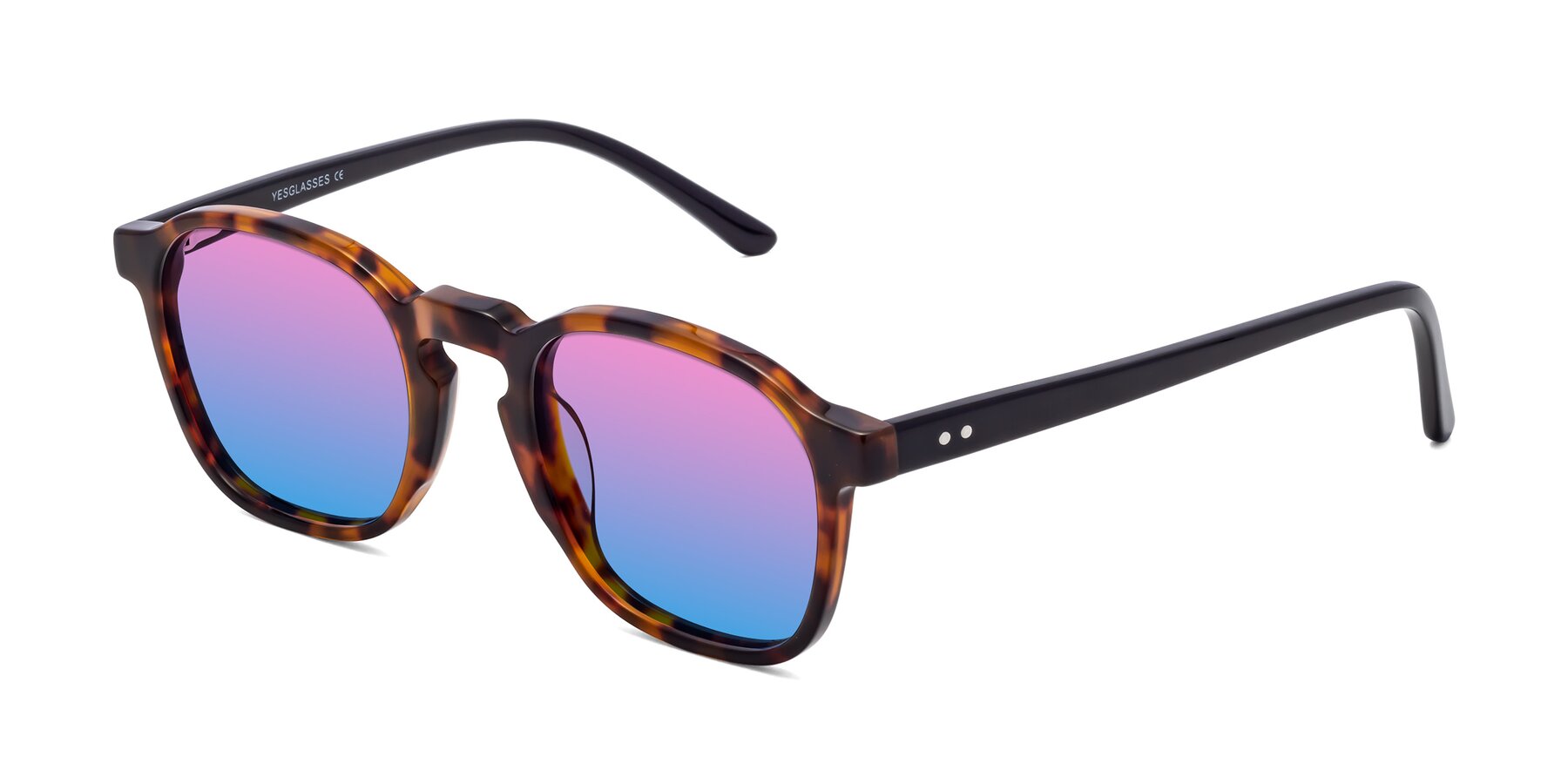 Angle of Generous in Tortoise with Pink / Blue Gradient Lenses