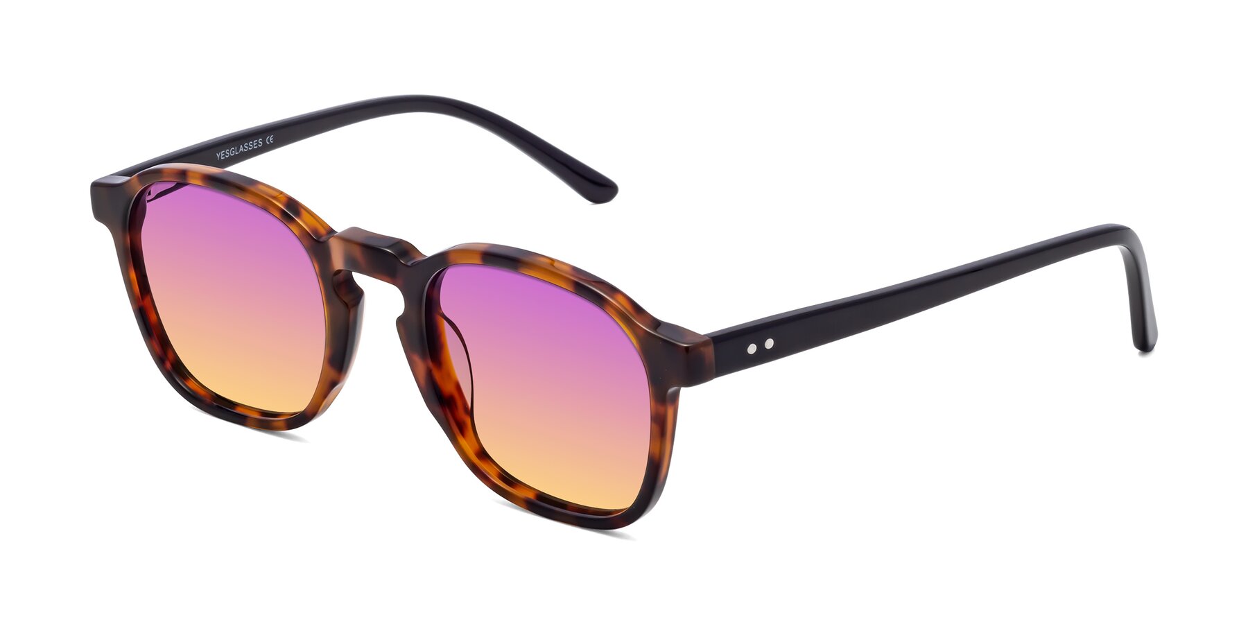 Angle of Generous in Tortoise with Purple / Yellow Gradient Lenses