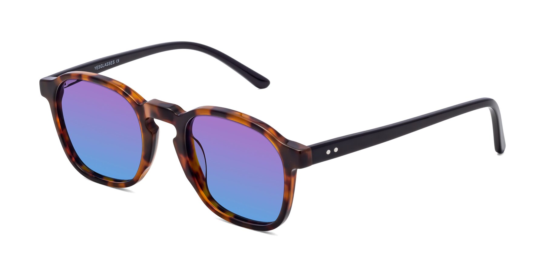 Angle of Generous in Tortoise with Purple / Blue Gradient Lenses