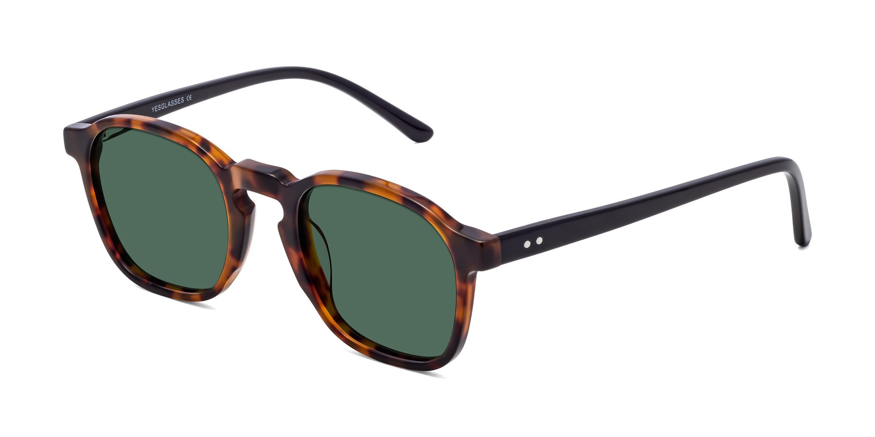 Angle of Generous in Tortoise with Green Polarized Lenses