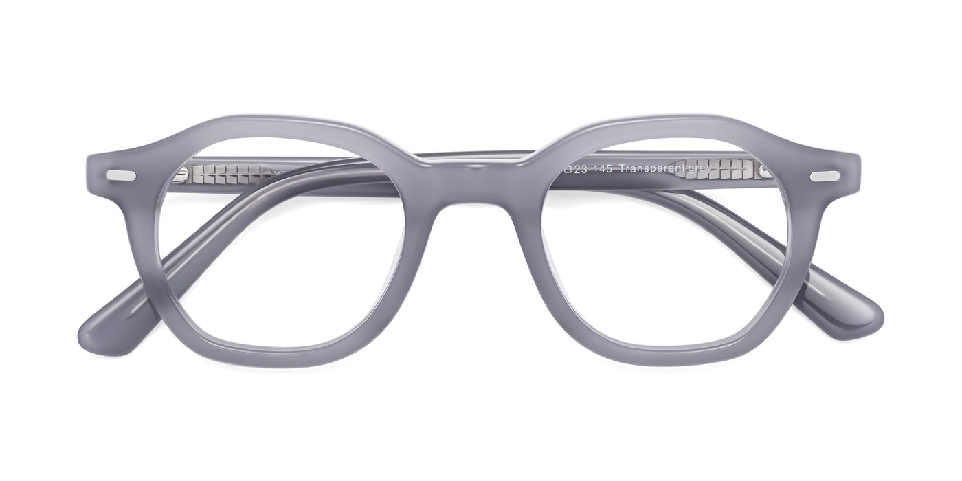 Potter - Transparent Gray Eyeglasses