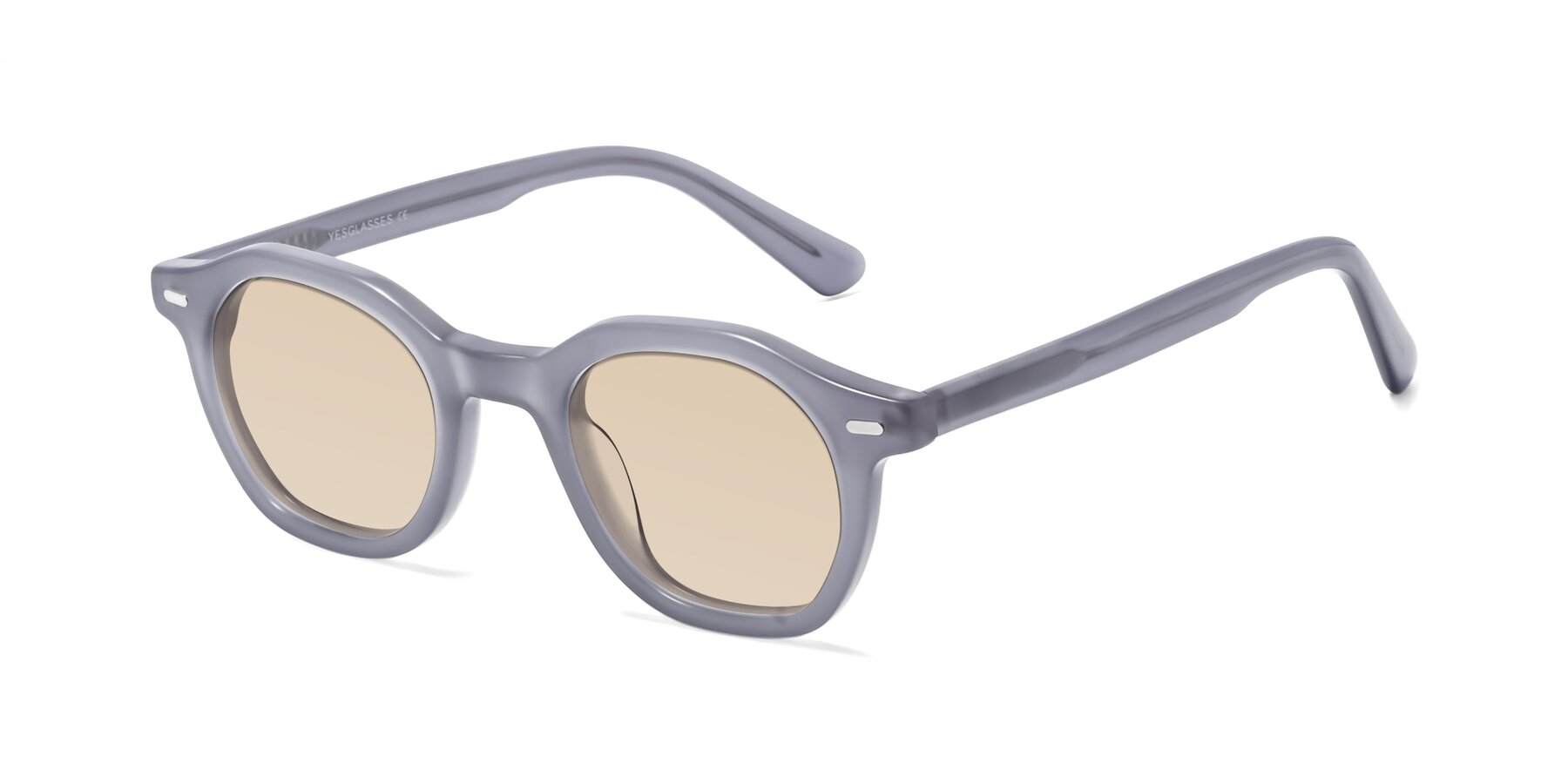 Angle of Potter in Transparent Gray with Light Brown Tinted Lenses