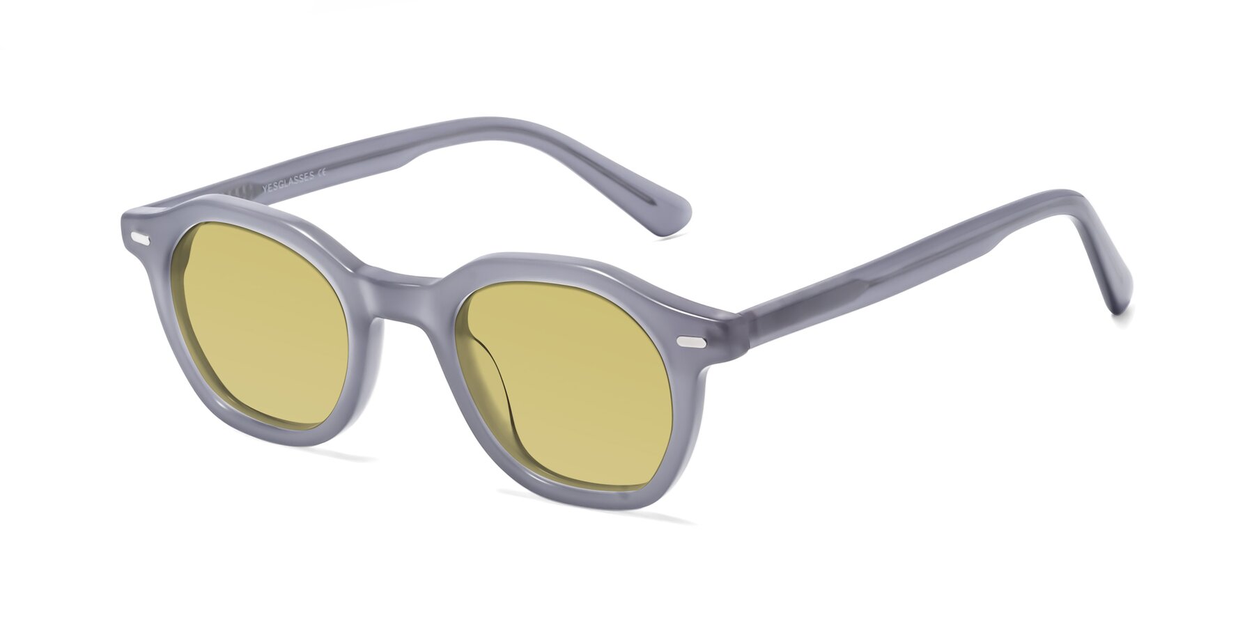 Angle of Potter in Transparent Gray with Medium Champagne Tinted Lenses