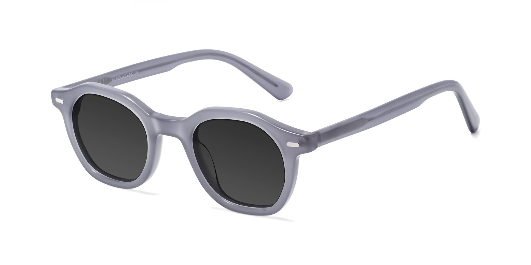 Angle of Potter in Transparent Gray with Gray Tinted Lenses
