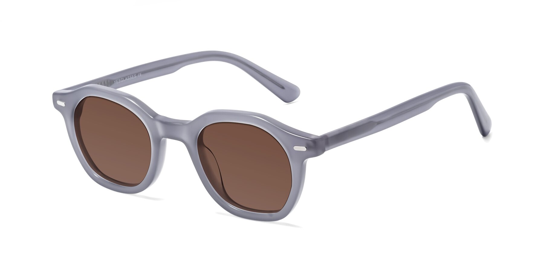 Angle of Potter in Transparent Gray with Brown Tinted Lenses