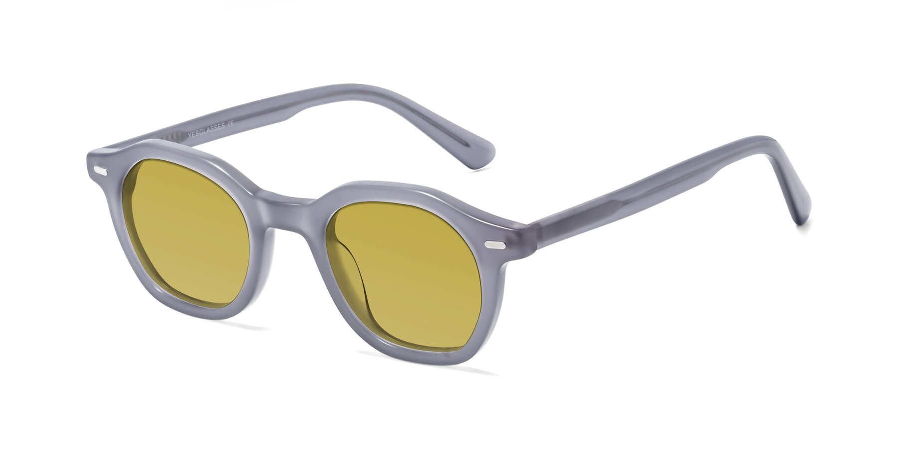 Angle of Potter in Transparent Gray with Champagne Tinted Lenses