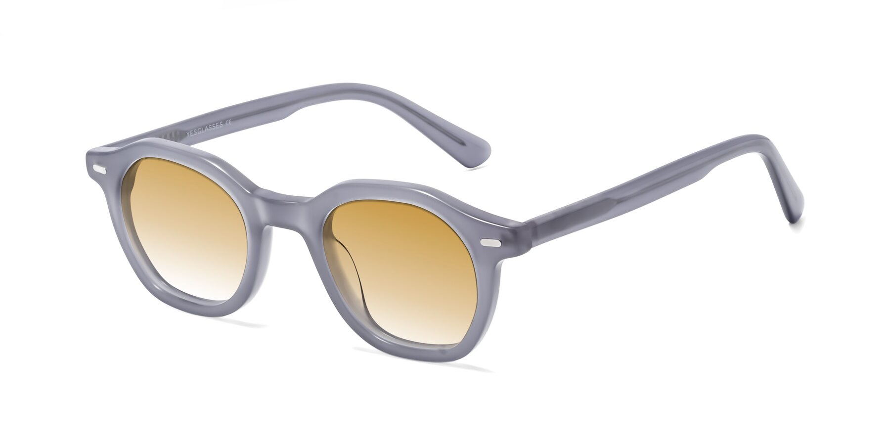 Angle of Potter in Transparent Gray with Champagne Gradient Lenses