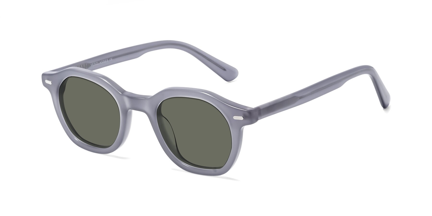 Angle of Potter in Transparent Gray with Gray Polarized Lenses