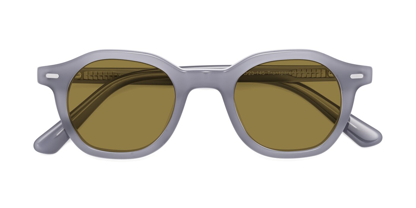 Potter - Transparent Gray Polarized Sunglasses