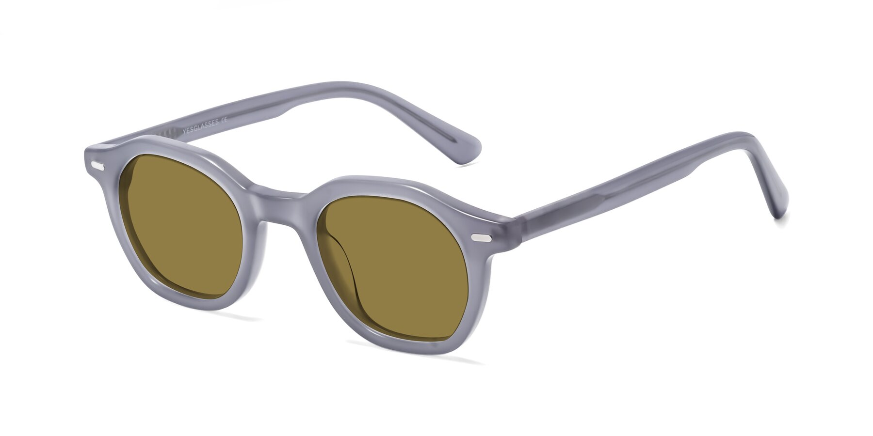 Angle of Potter in Transparent Gray with Brown Polarized Lenses