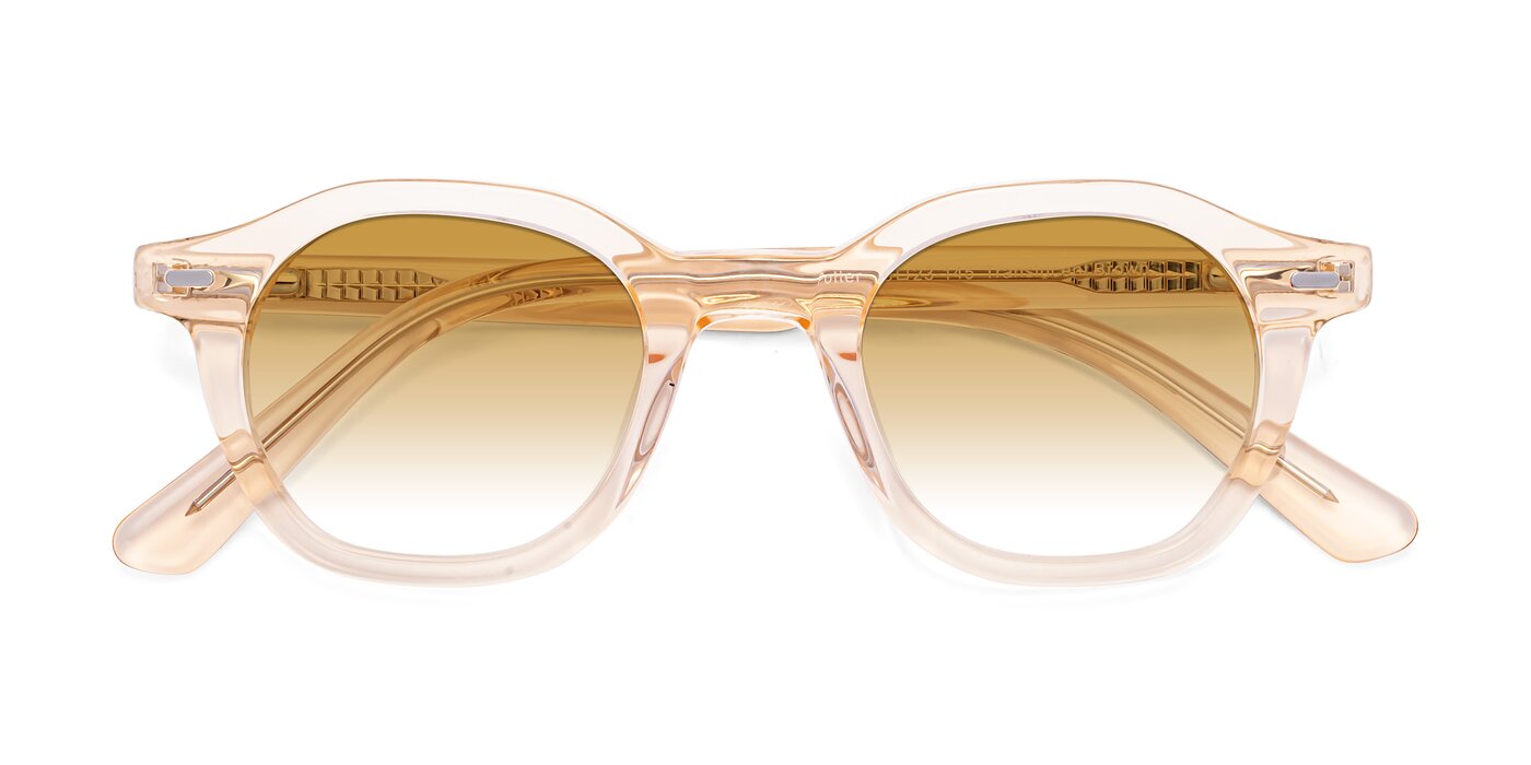 Potter - Translucent Brown Gradient Sunglasses