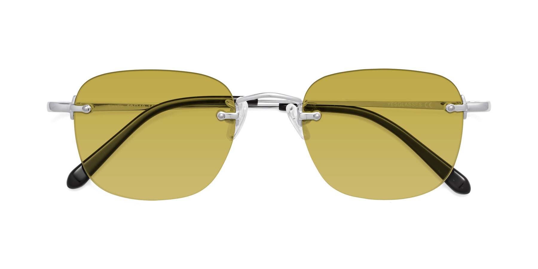 Folded Front of Leslie in Silver with Champagne Tinted Lenses
