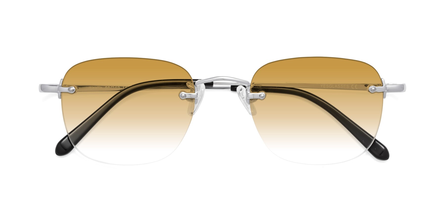 Folded Front of Leslie in Silver with Champagne Gradient Lenses