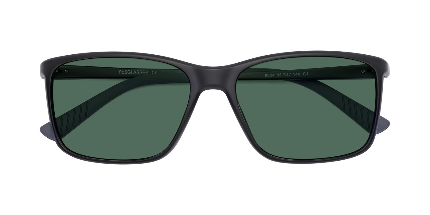 9004 - Matte Black Polarized Sunglasses