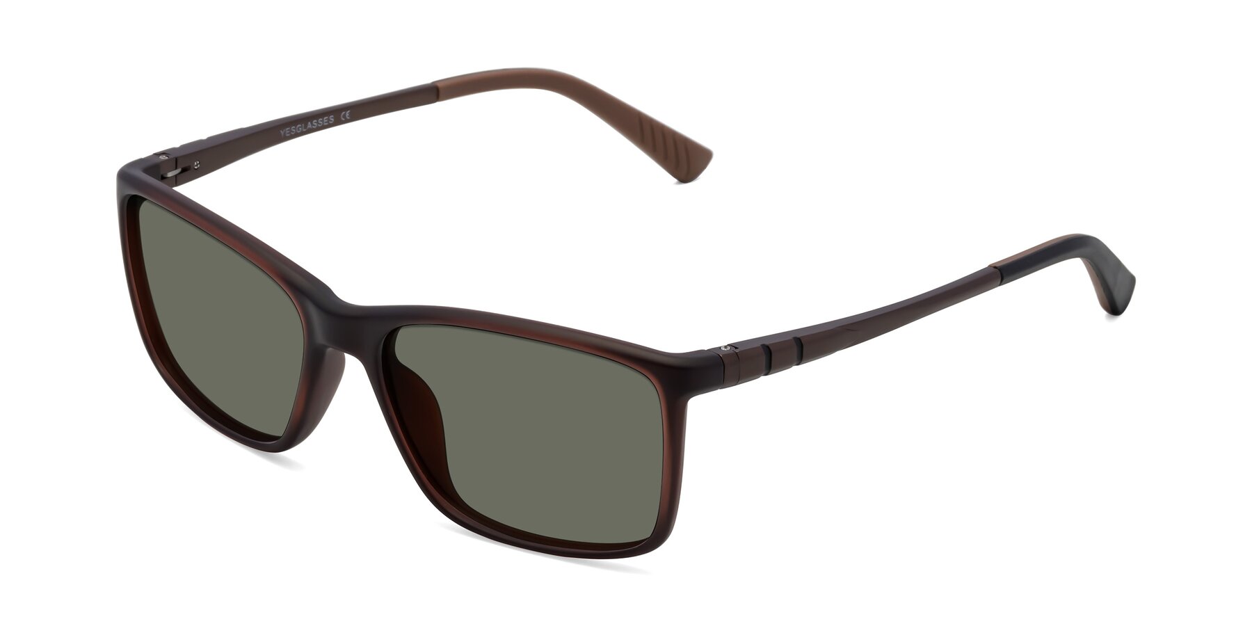 Angle of 9004 in Coffee with Gray Polarized Lenses