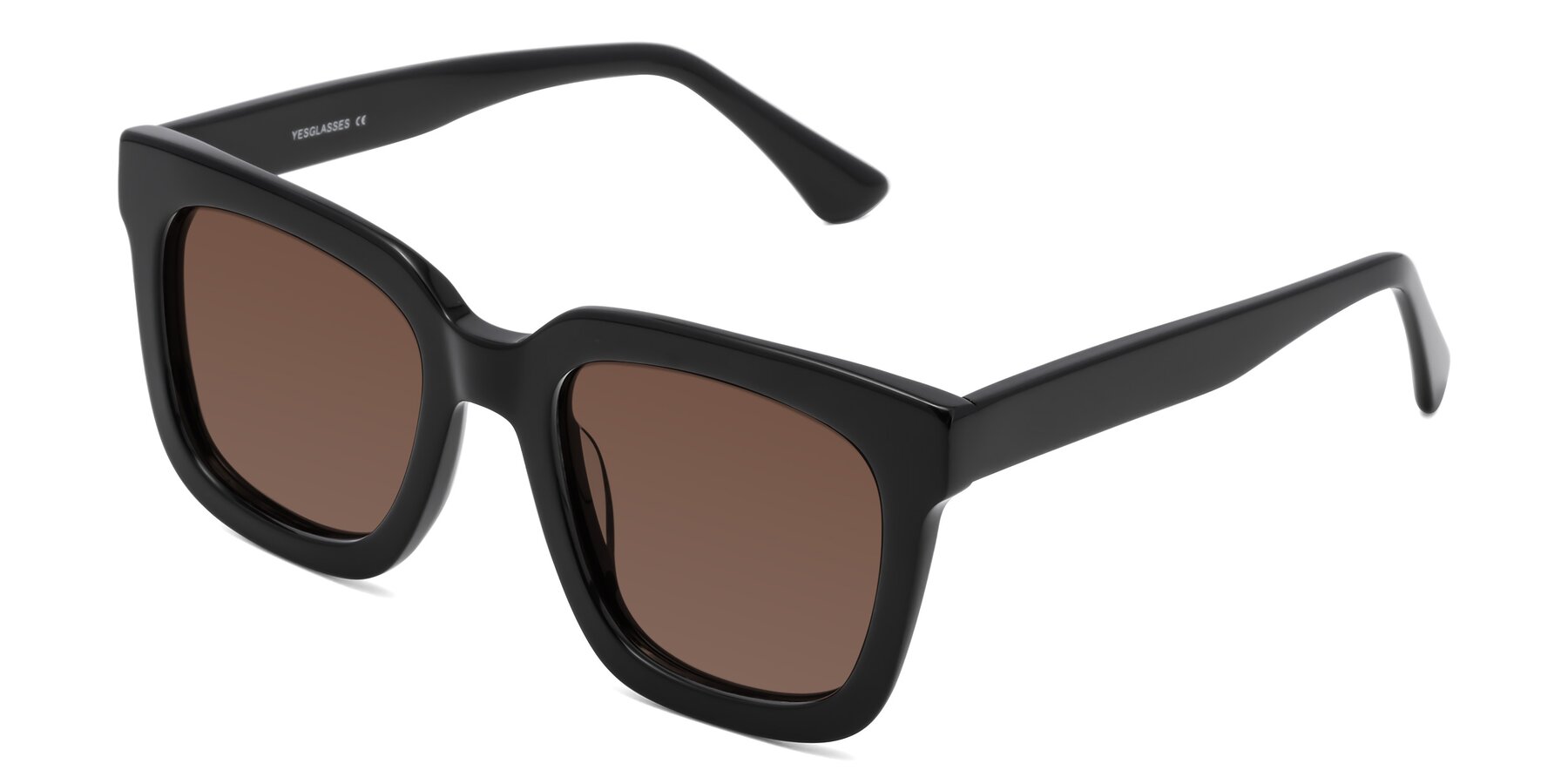 Angle of Parr in Black with Brown Tinted Lenses