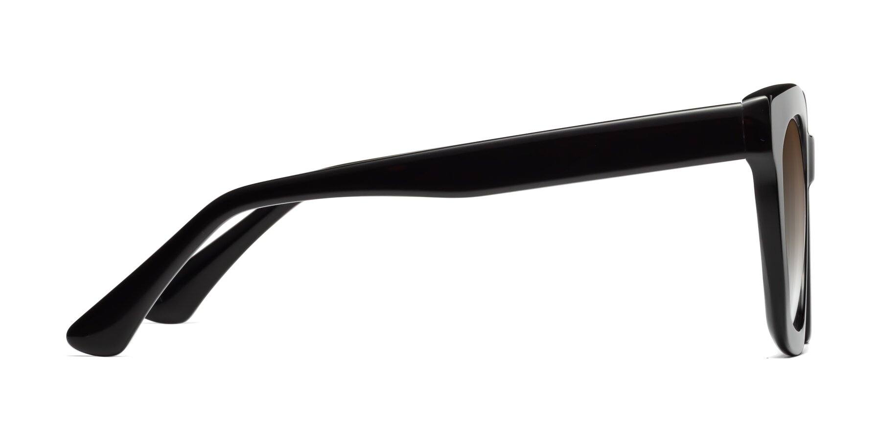 Side of Parr in Black with Brown Gradient Lenses
