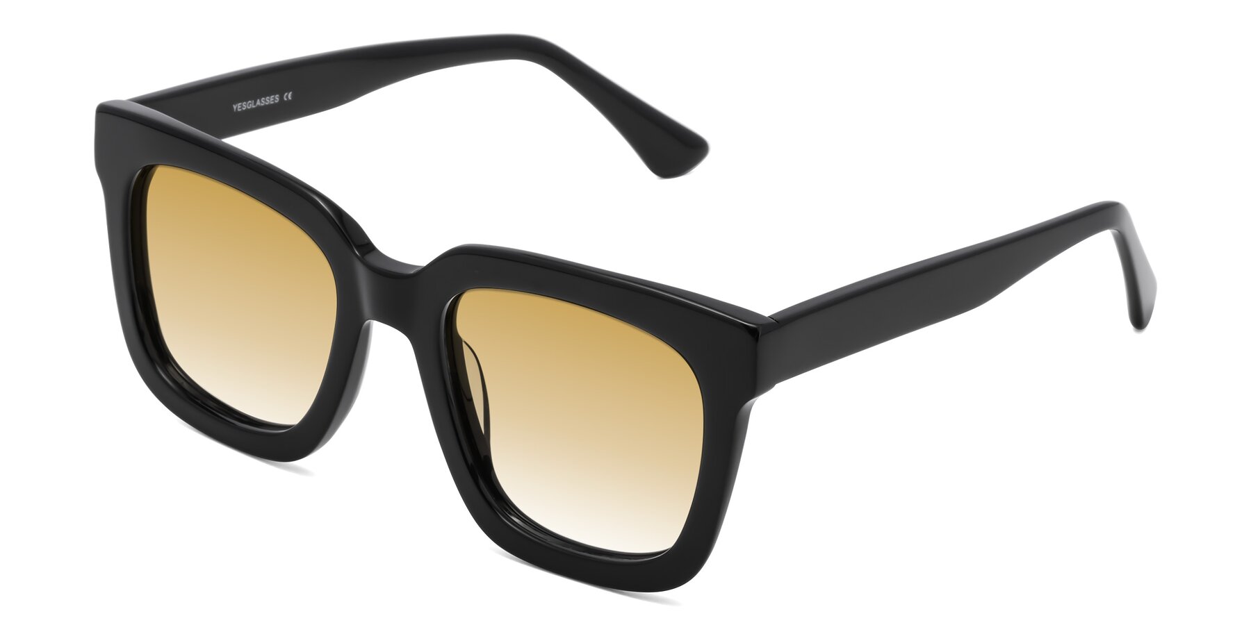 Angle of Parr in Black with Champagne Gradient Lenses