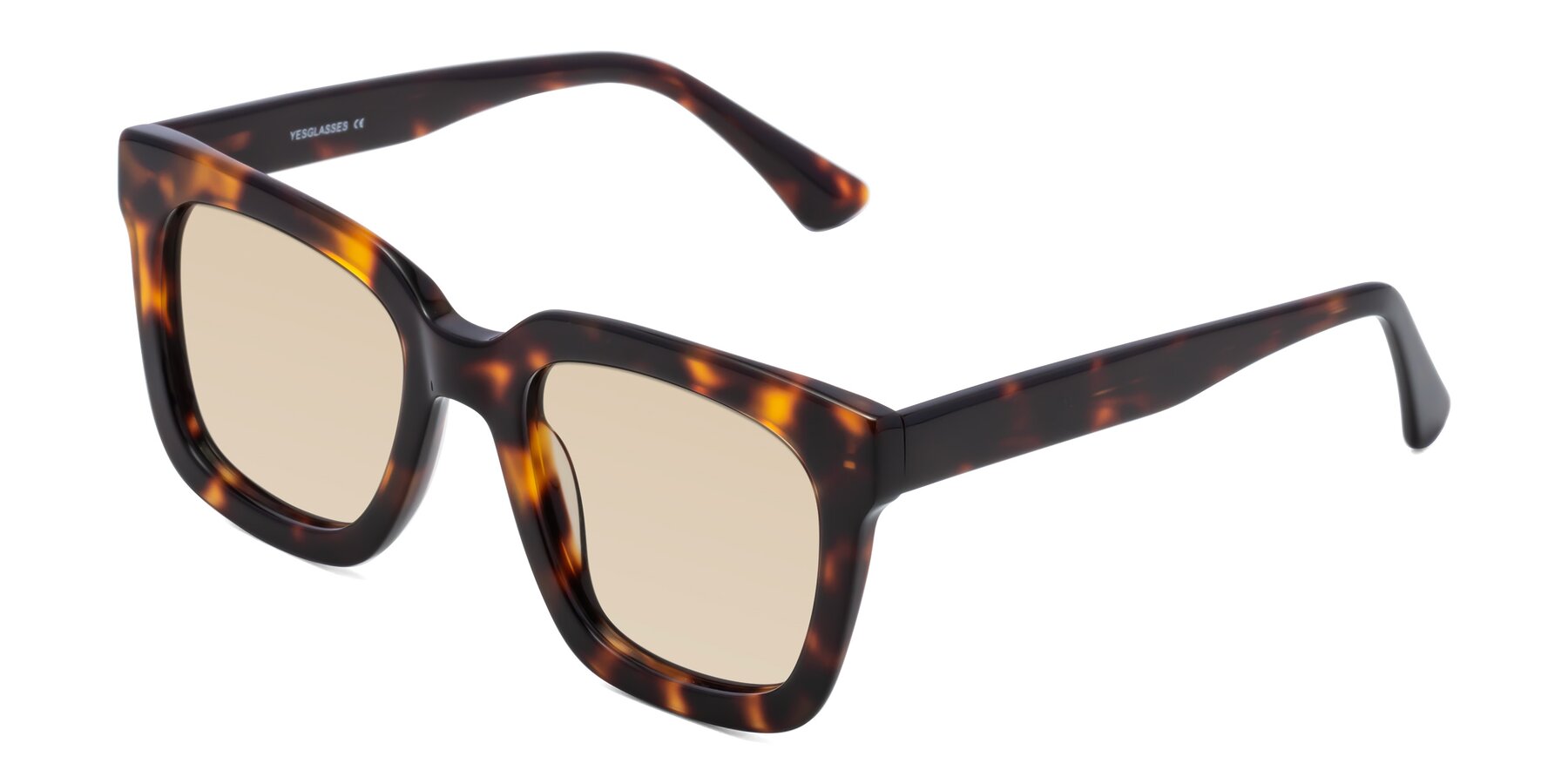 Angle of Parr in Tortoise with Light Brown Tinted Lenses