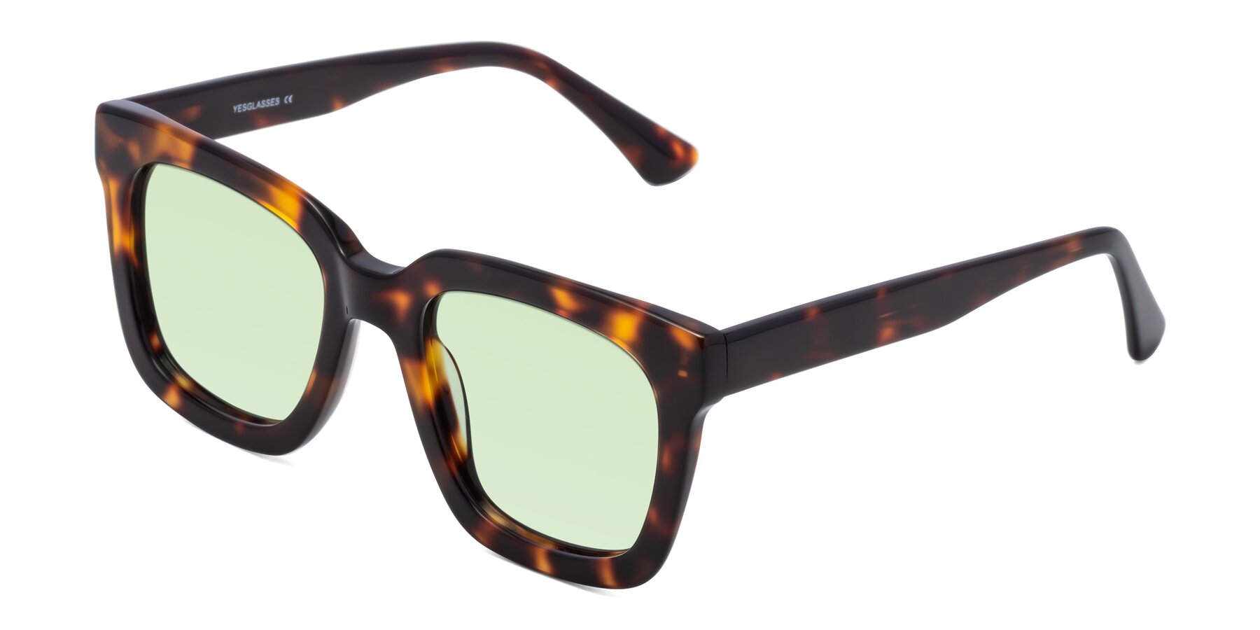 Angle of Parr in Tortoise with Light Green Tinted Lenses