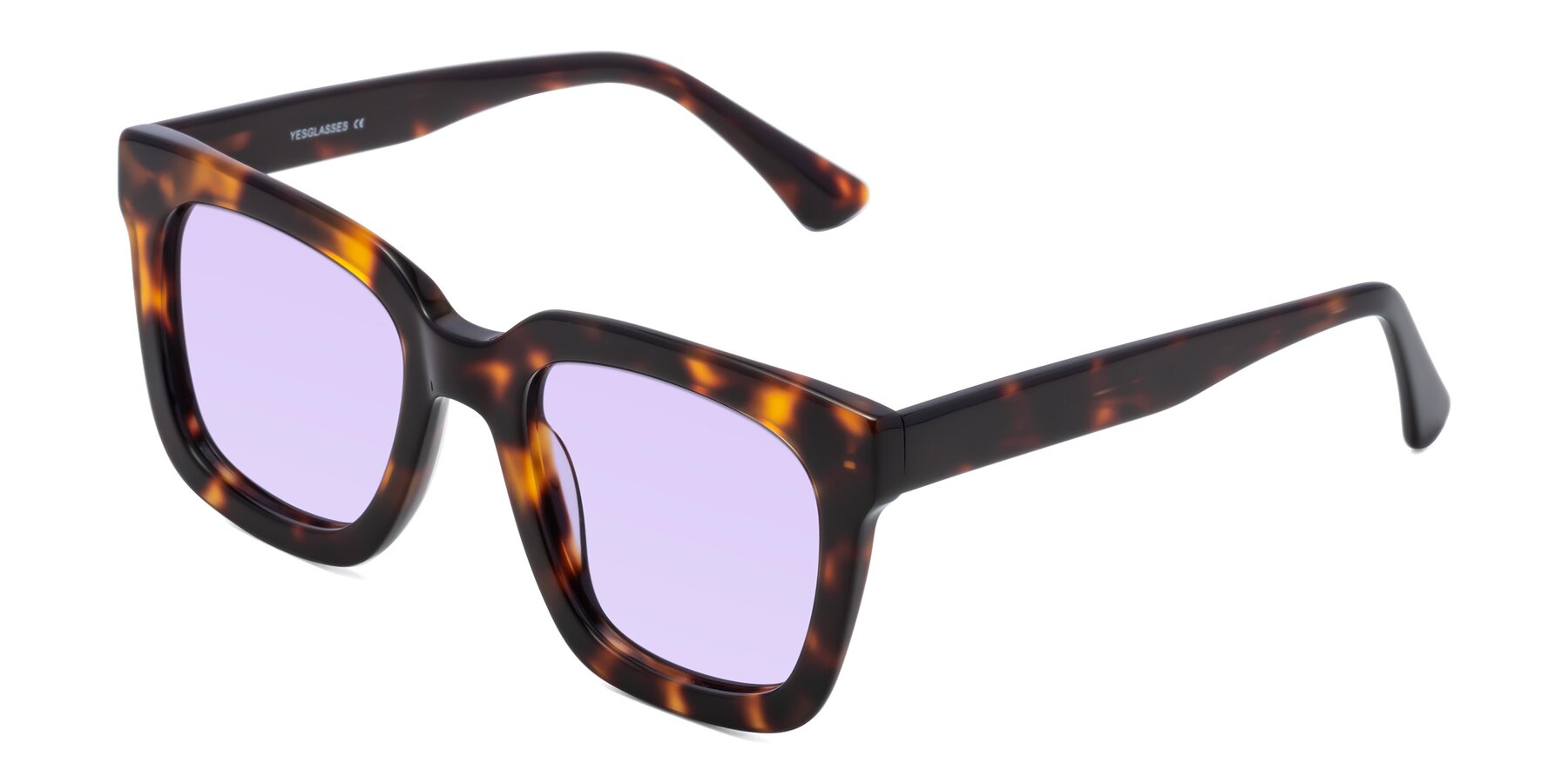 Angle of Parr in Tortoise with Light Purple Tinted Lenses
