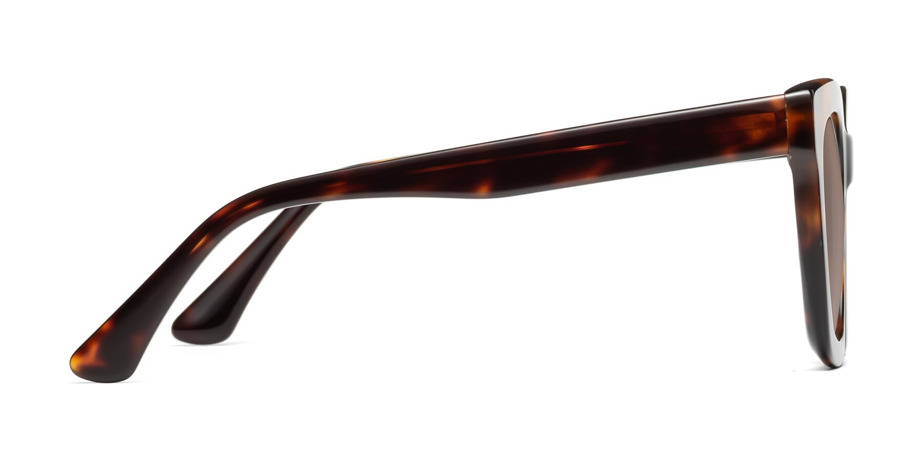 Side of Parr in Tortoise with Medium Brown Tinted Lenses