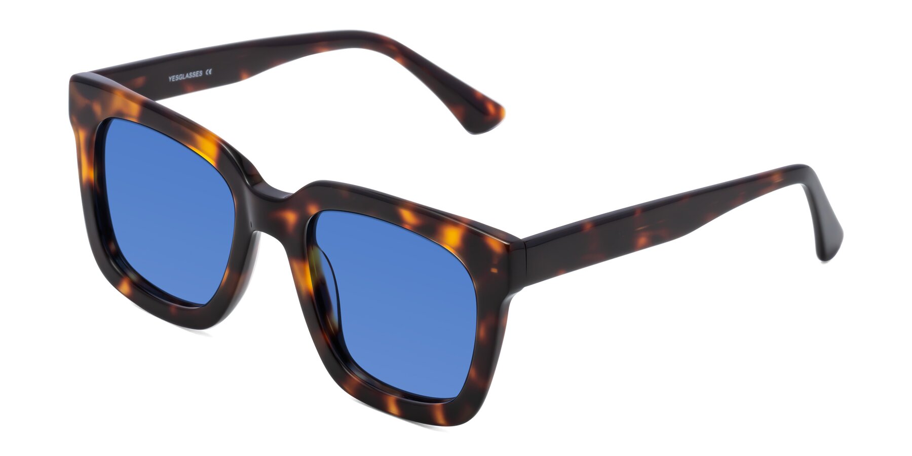 Angle of Parr in Tortoise with Blue Tinted Lenses