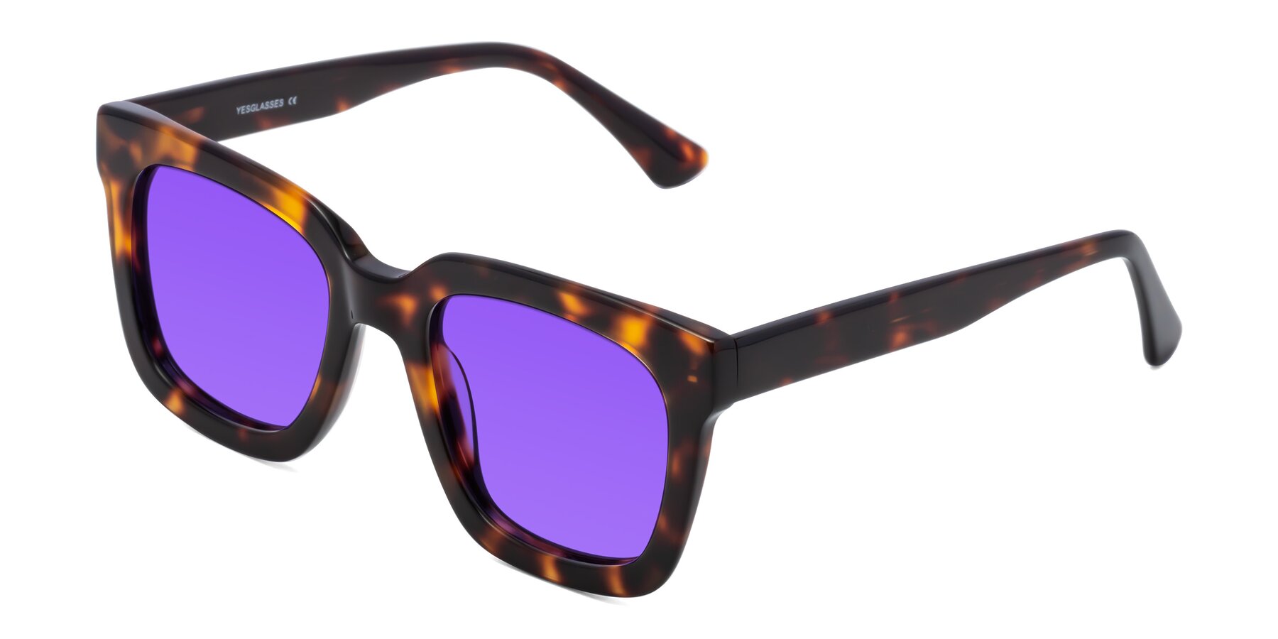Angle of Parr in Tortoise with Purple Tinted Lenses