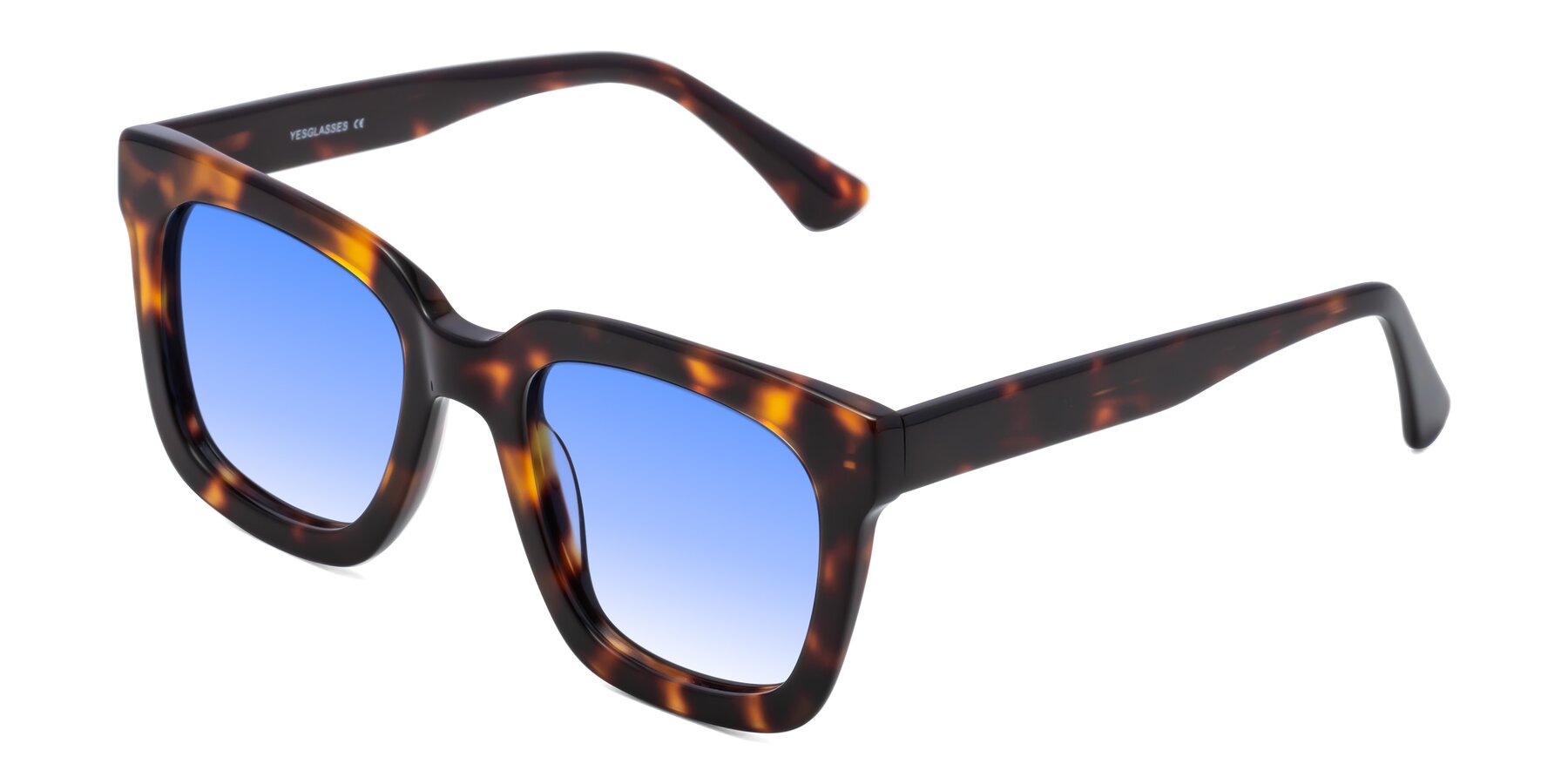 Angle of Parr in Tortoise with Blue Gradient Lenses