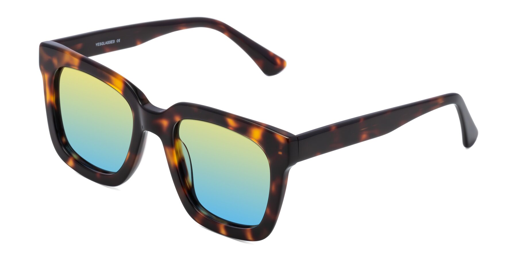 Angle of Parr in Tortoise with Yellow / Blue Gradient Lenses