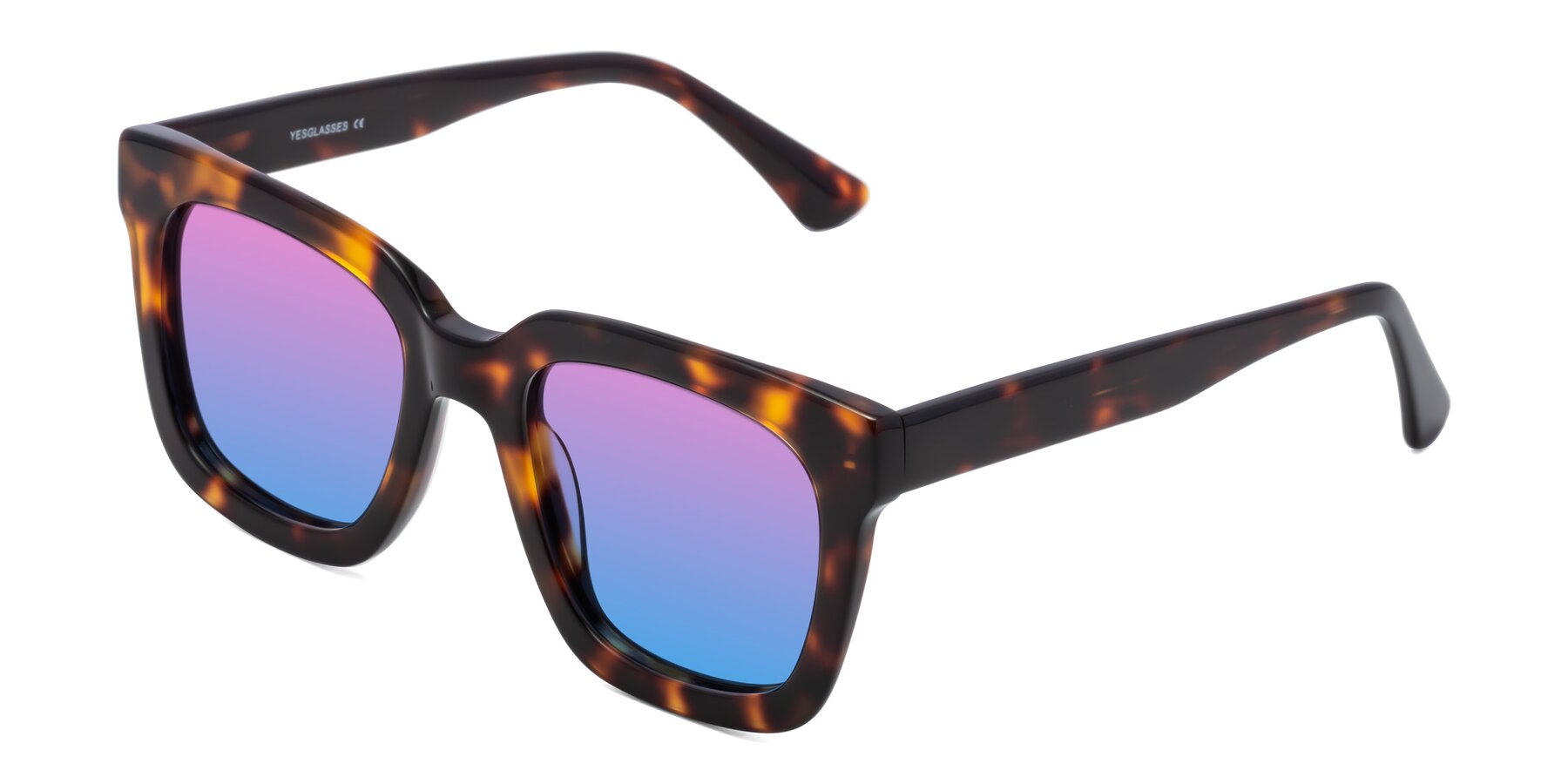 Angle of Parr in Tortoise with Pink / Blue Gradient Lenses