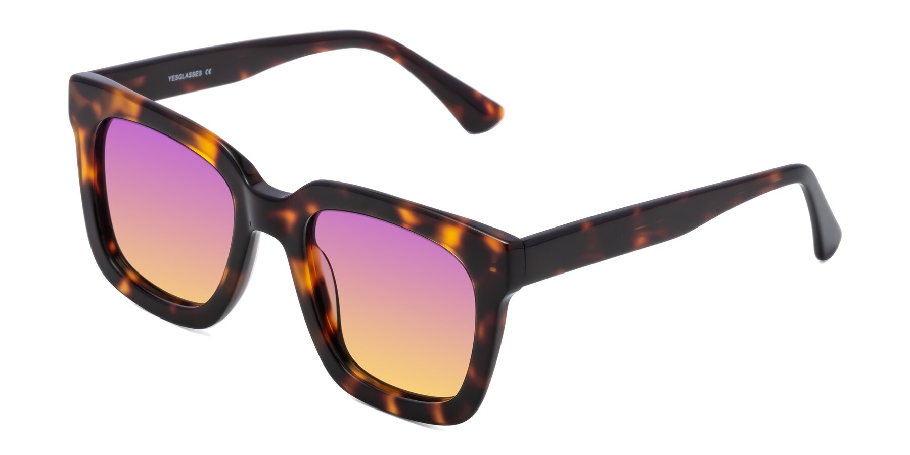 Angle of Parr in Tortoise with Purple / Yellow Gradient Lenses