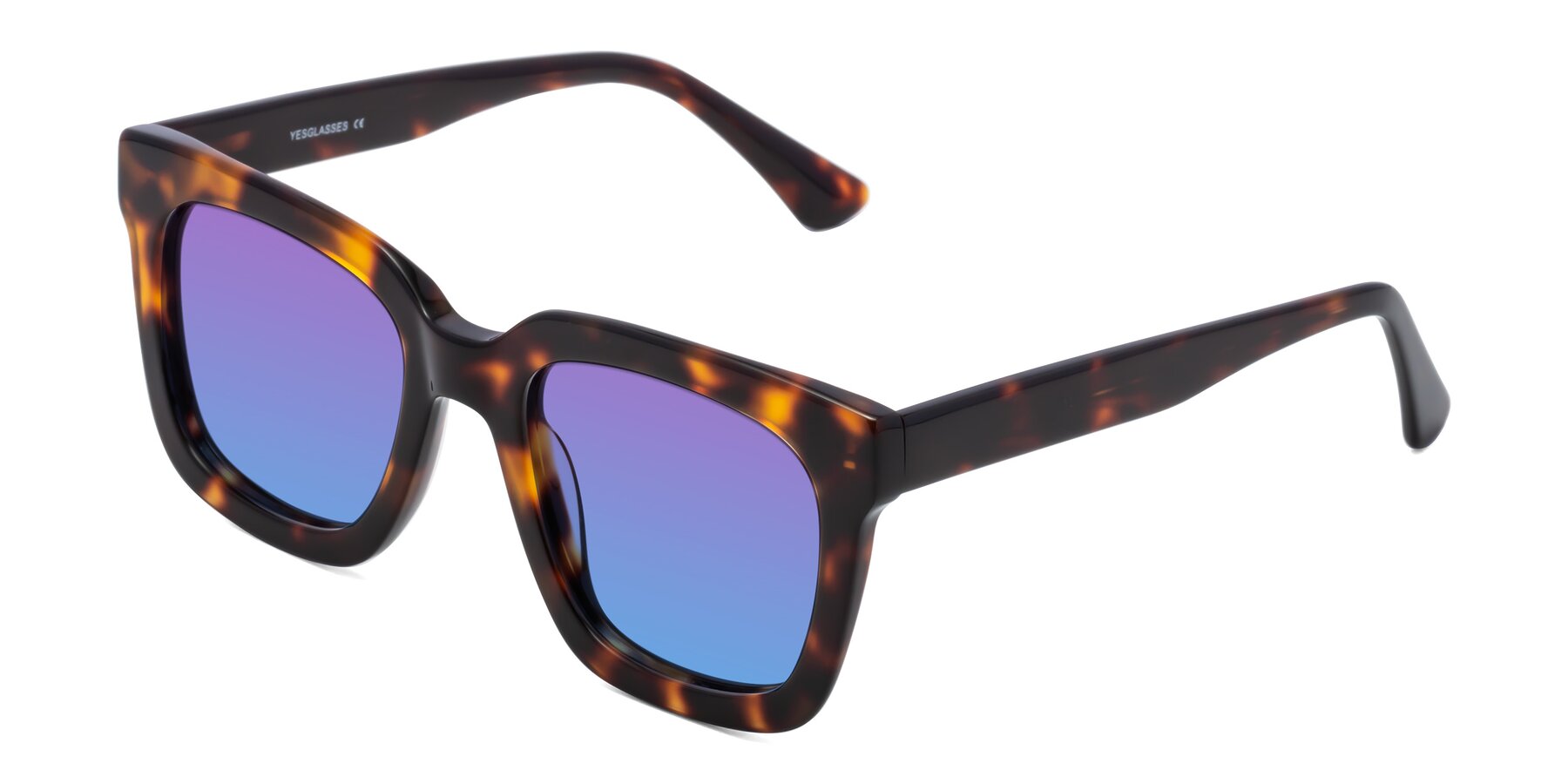 Angle of Parr in Tortoise with Purple / Blue Gradient Lenses