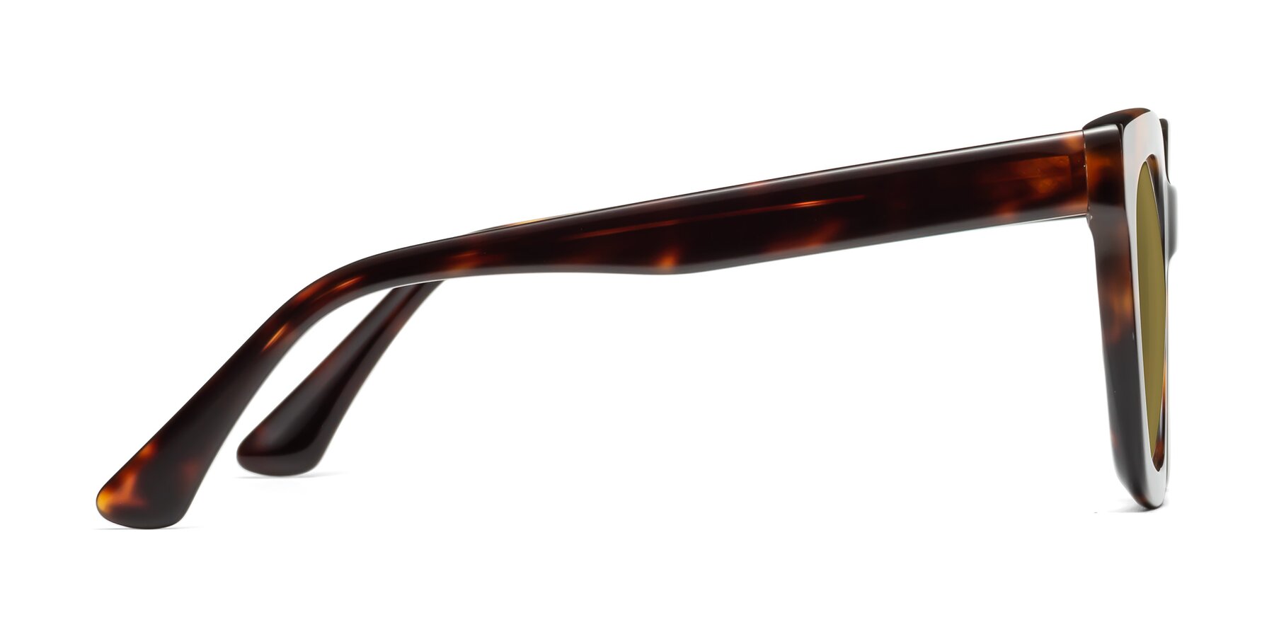 Side of Parr in Tortoise with Brown Polarized Lenses