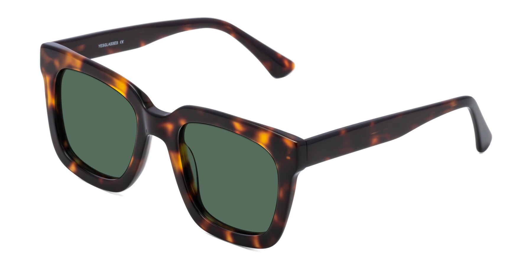 Angle of Parr in Tortoise with Green Polarized Lenses