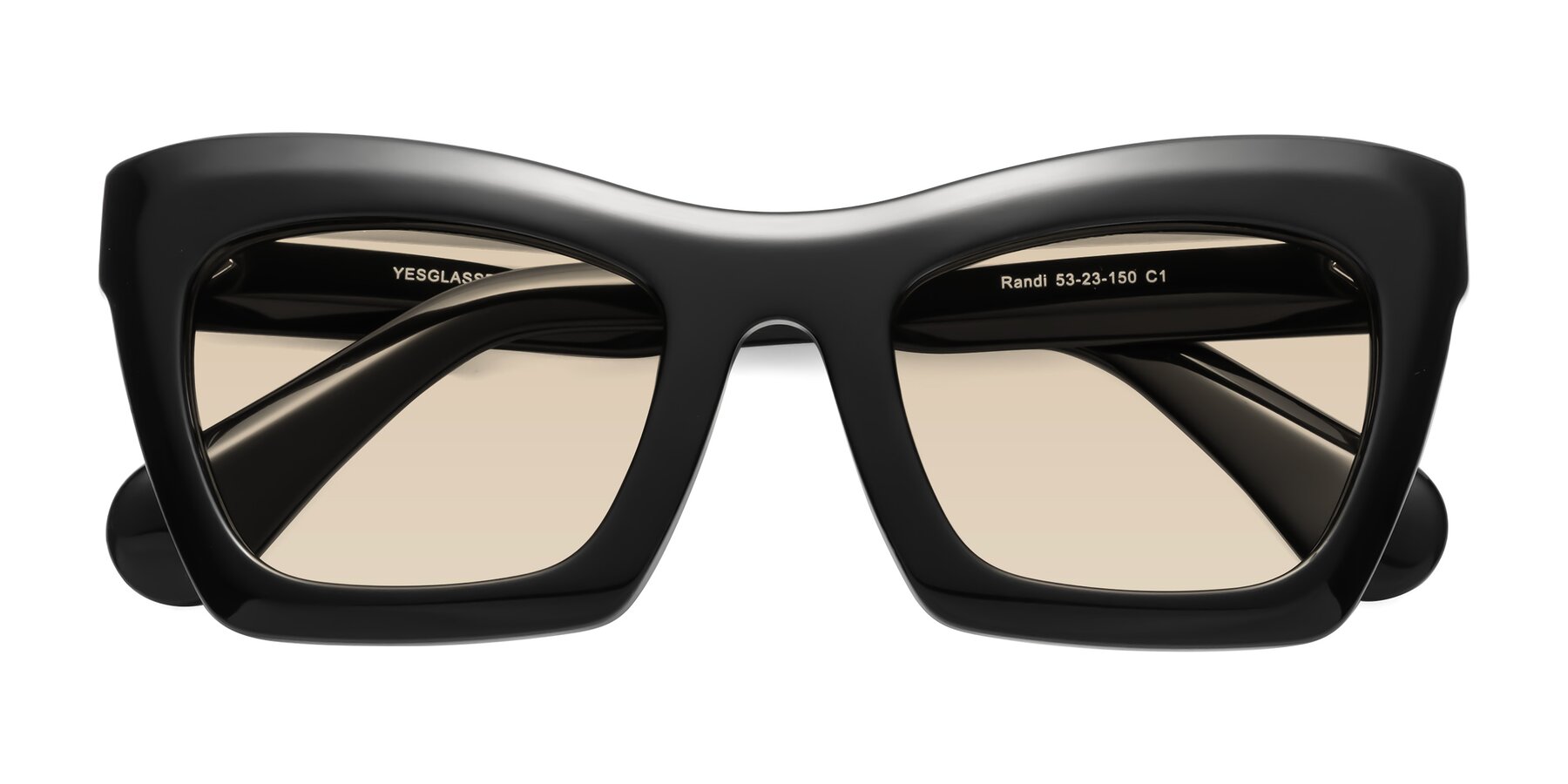 Folded Front of Randi in Black with Light Brown Tinted Lenses