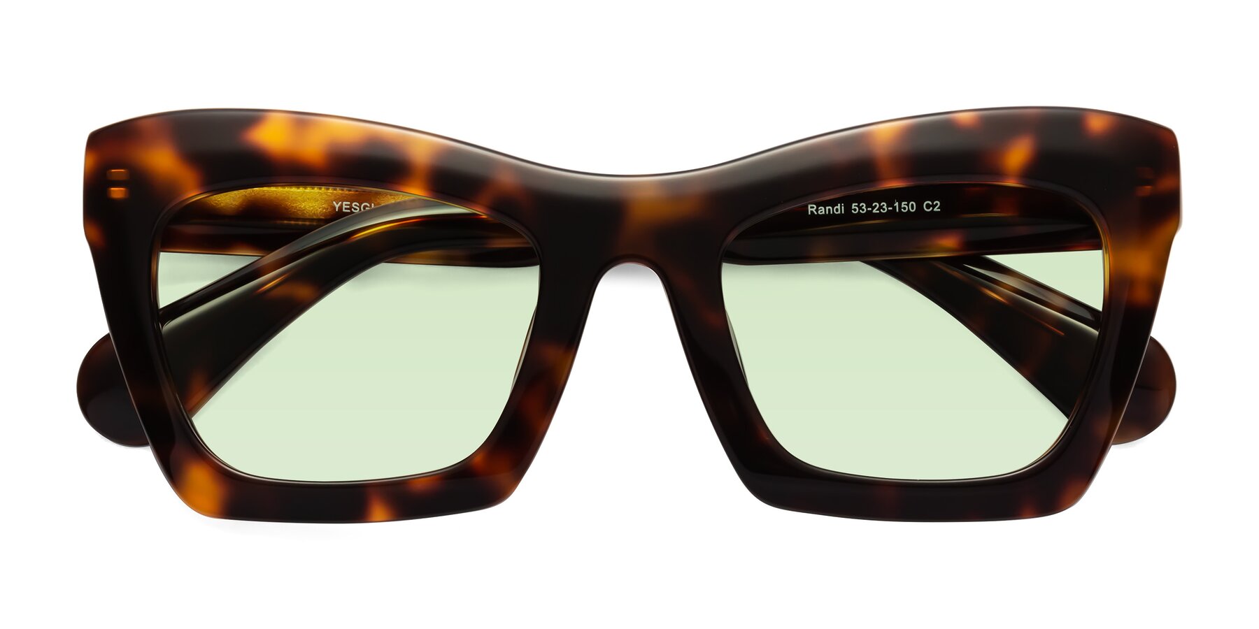Folded Front of Randi in Tortoise with Light Green Tinted Lenses