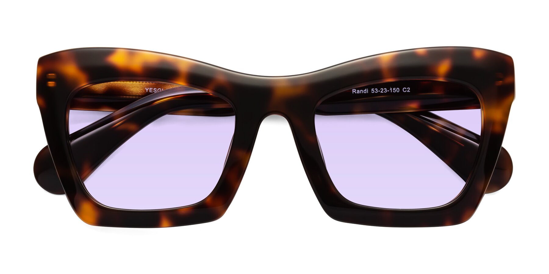Folded Front of Randi in Tortoise with Light Purple Tinted Lenses