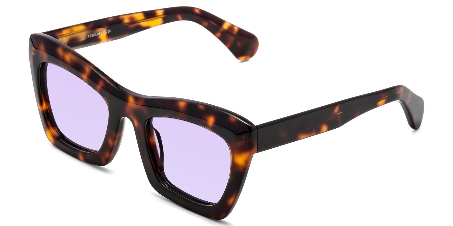 Angle of Randi in Tortoise with Light Purple Tinted Lenses