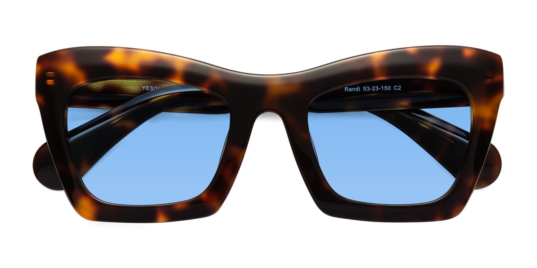 Folded Front of Randi in Tortoise with Medium Blue Tinted Lenses