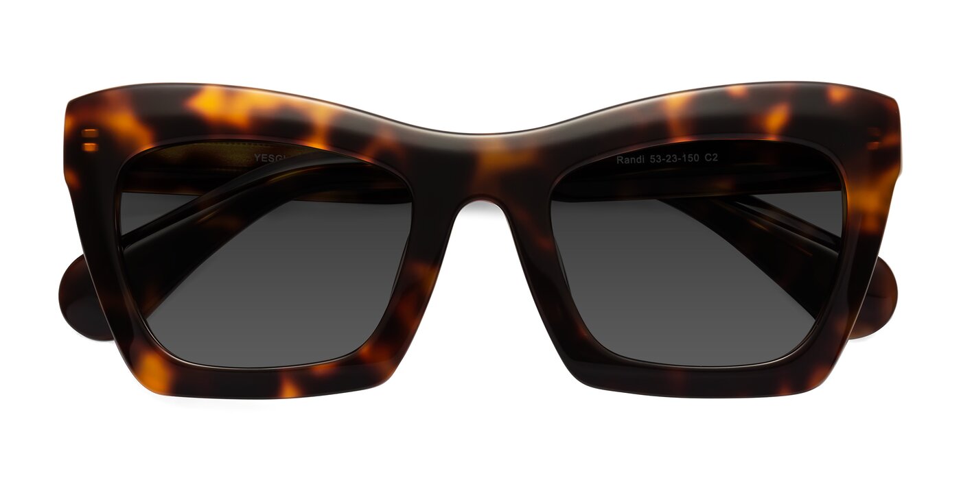 Randi - Tortoise Tinted Sunglasses