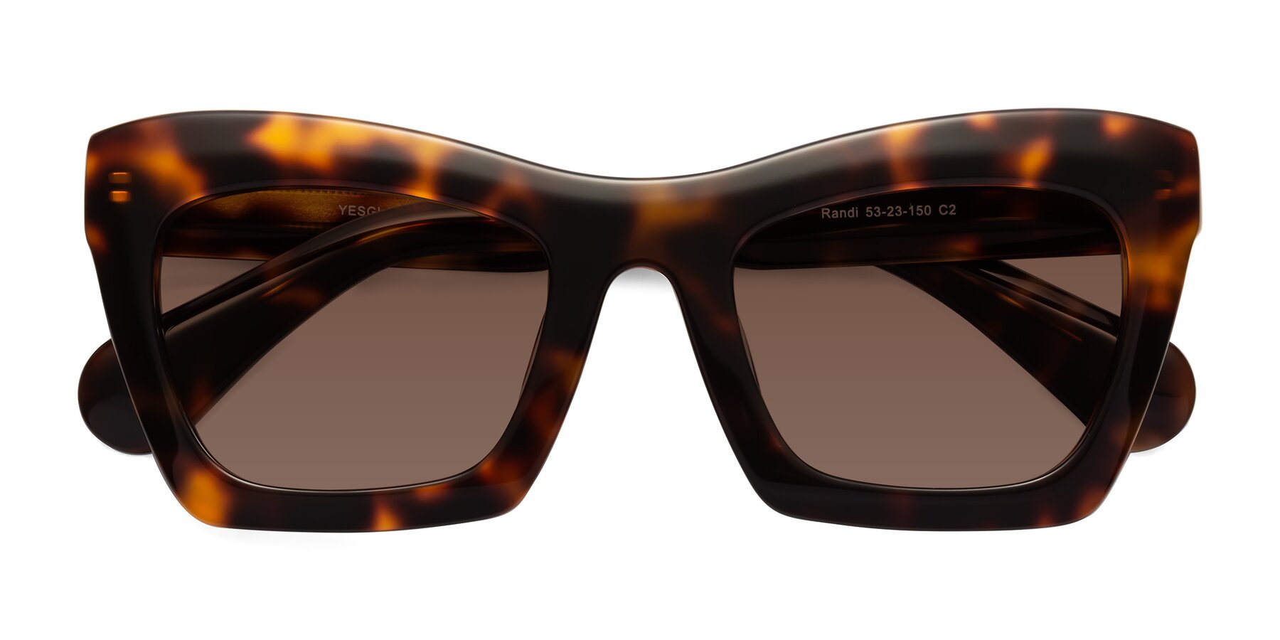 Folded Front of Randi in Tortoise with Brown Tinted Lenses
