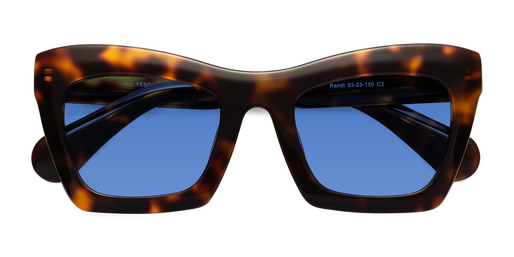 Folded Front of Randi in Tortoise with Blue Tinted Lenses