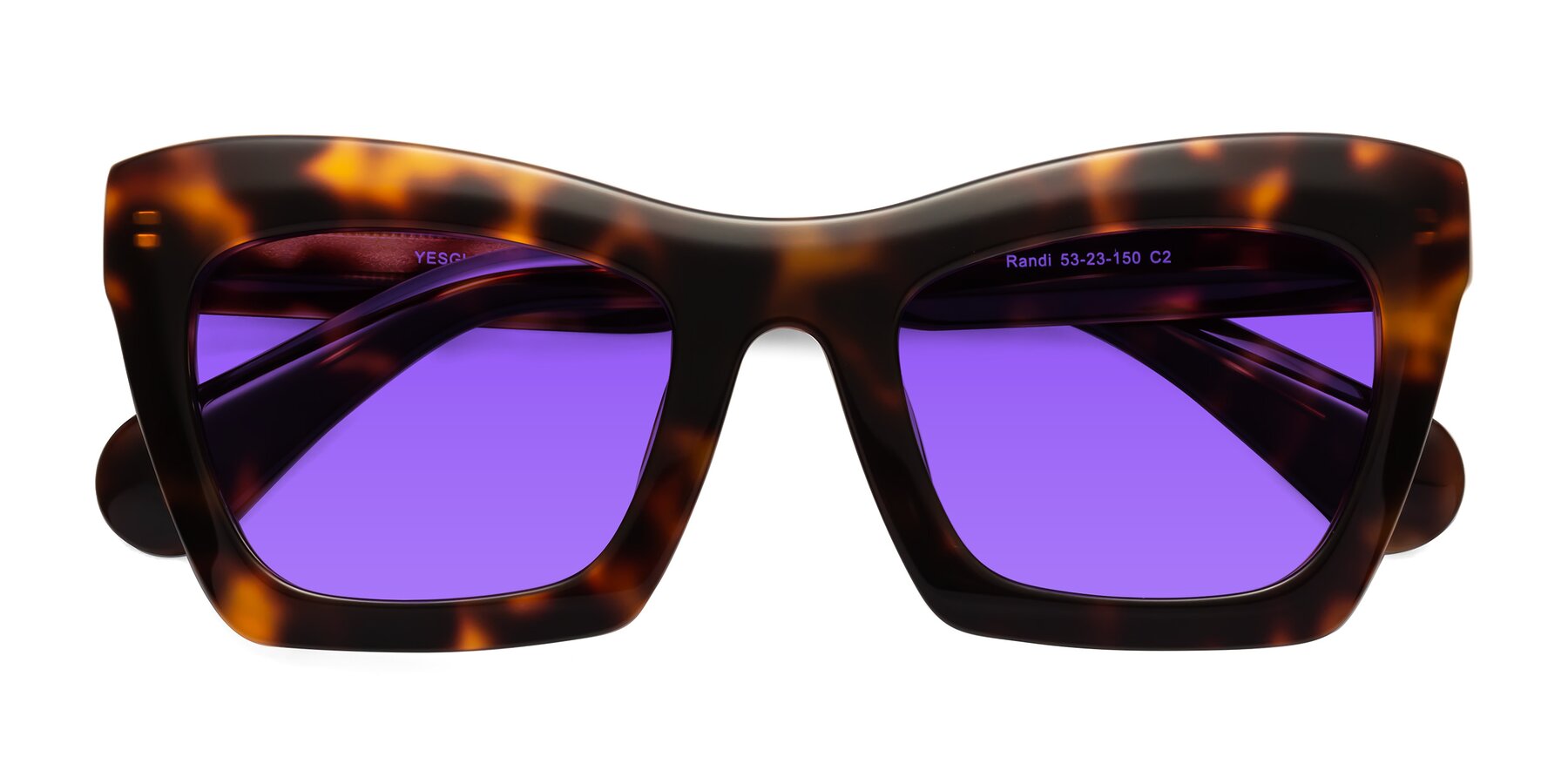 Folded Front of Randi in Tortoise with Purple Tinted Lenses