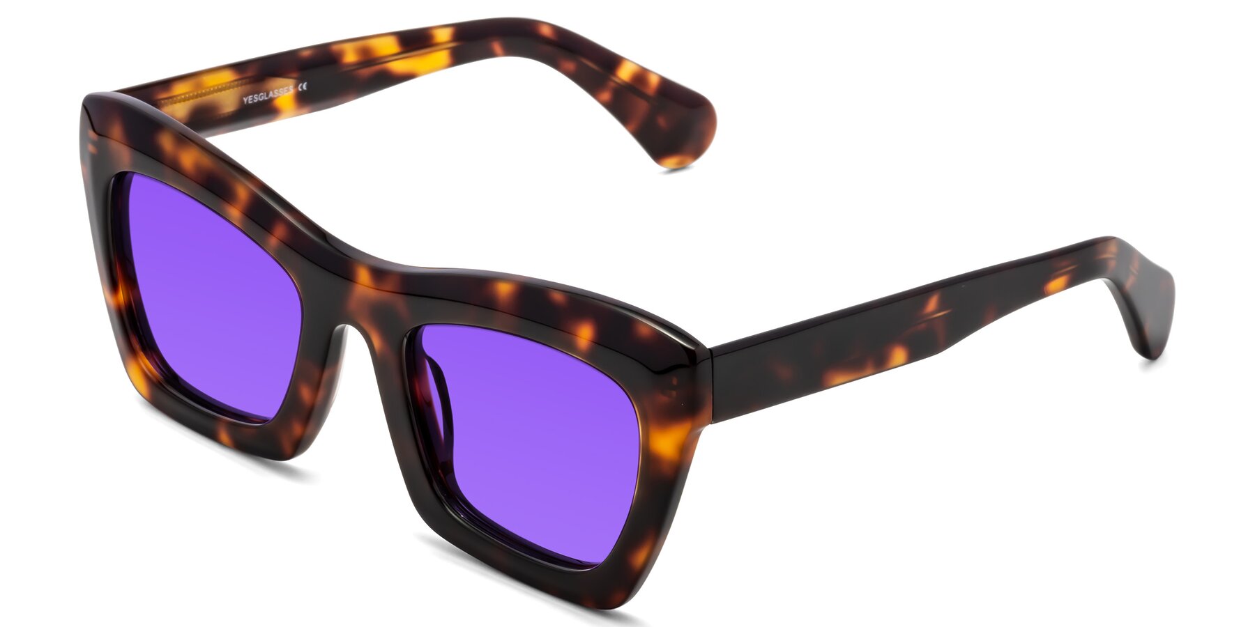 Angle of Randi in Tortoise with Purple Tinted Lenses