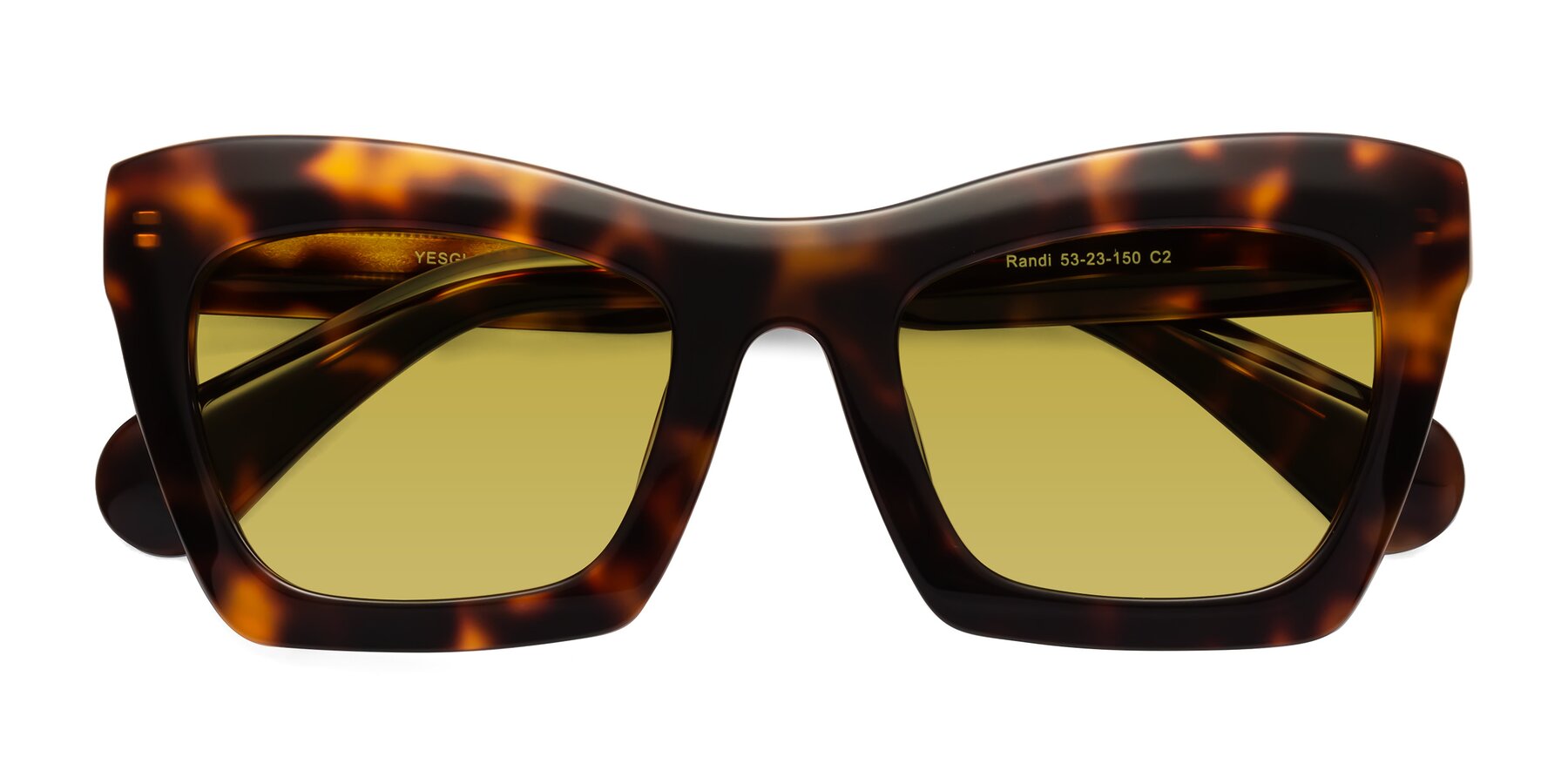 Folded Front of Randi in Tortoise with Champagne Tinted Lenses