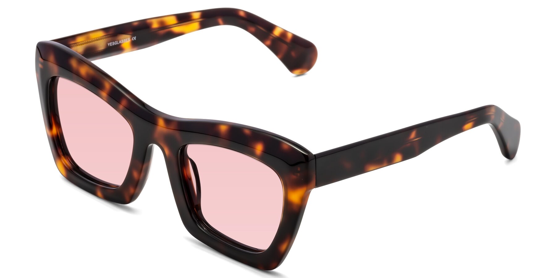 Angle of Randi in Tortoise with Light Garnet Tinted Lenses